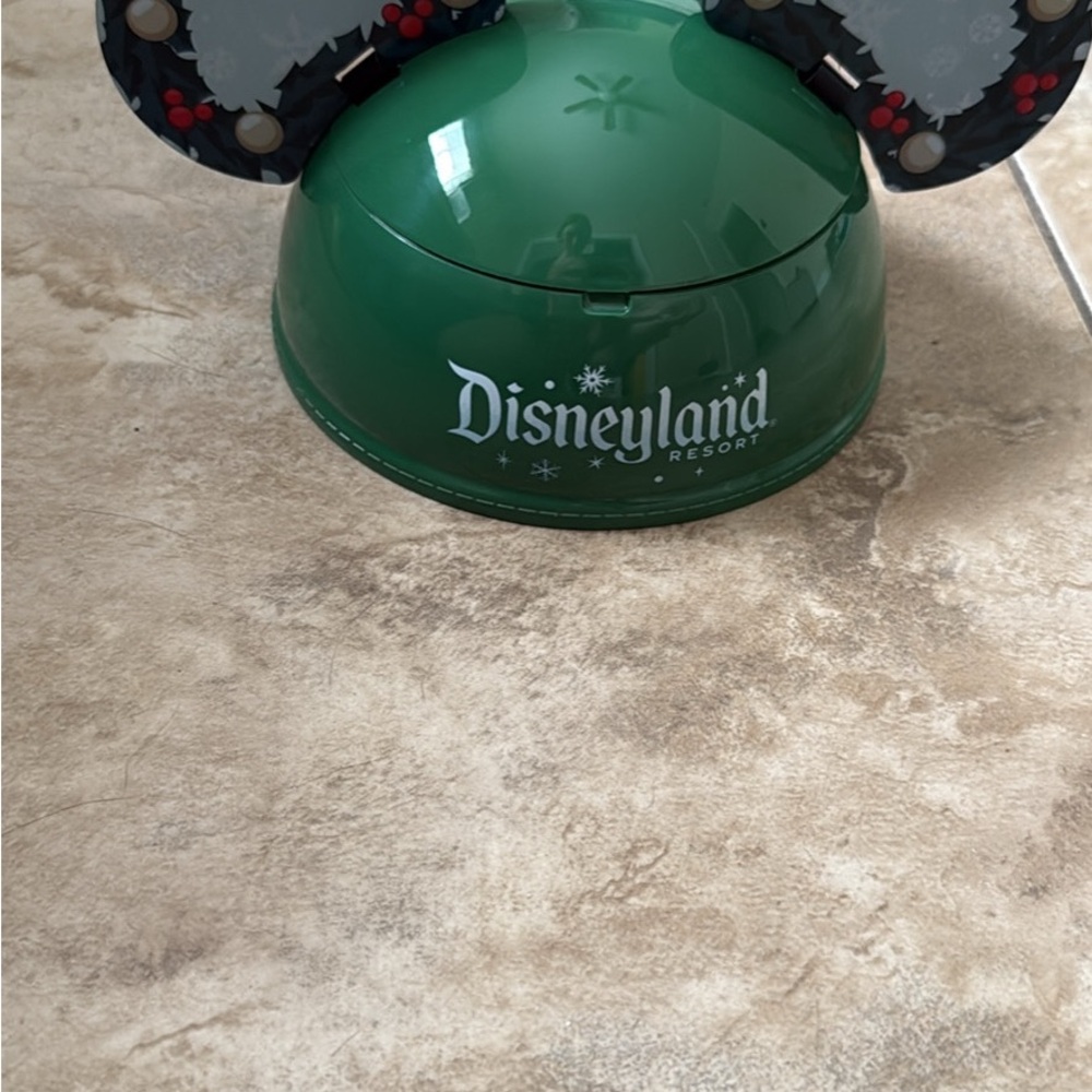 Disneyland Resort Green and Black Mickey Ears bucket